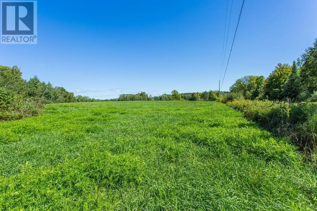 728 Basswood Lake RD