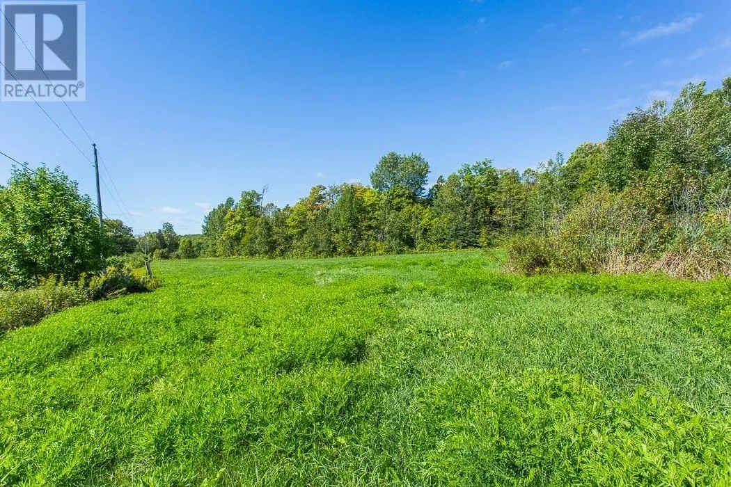 728 Basswood Lake RD