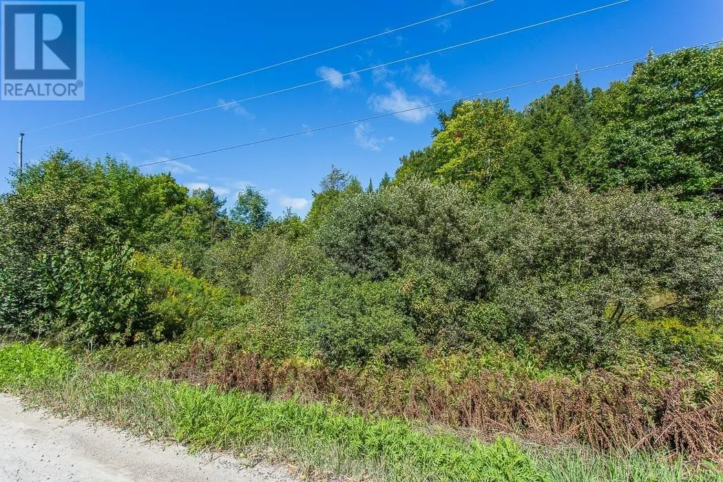 728 Basswood Lake RD
