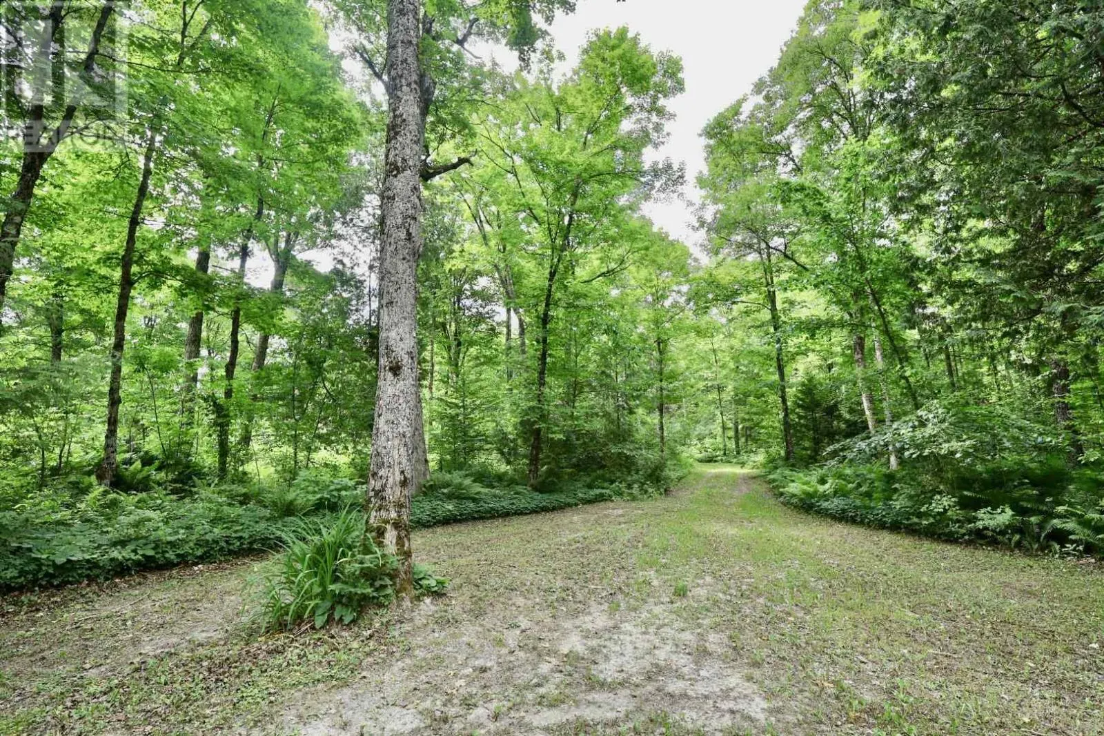 190 Byes Side RD