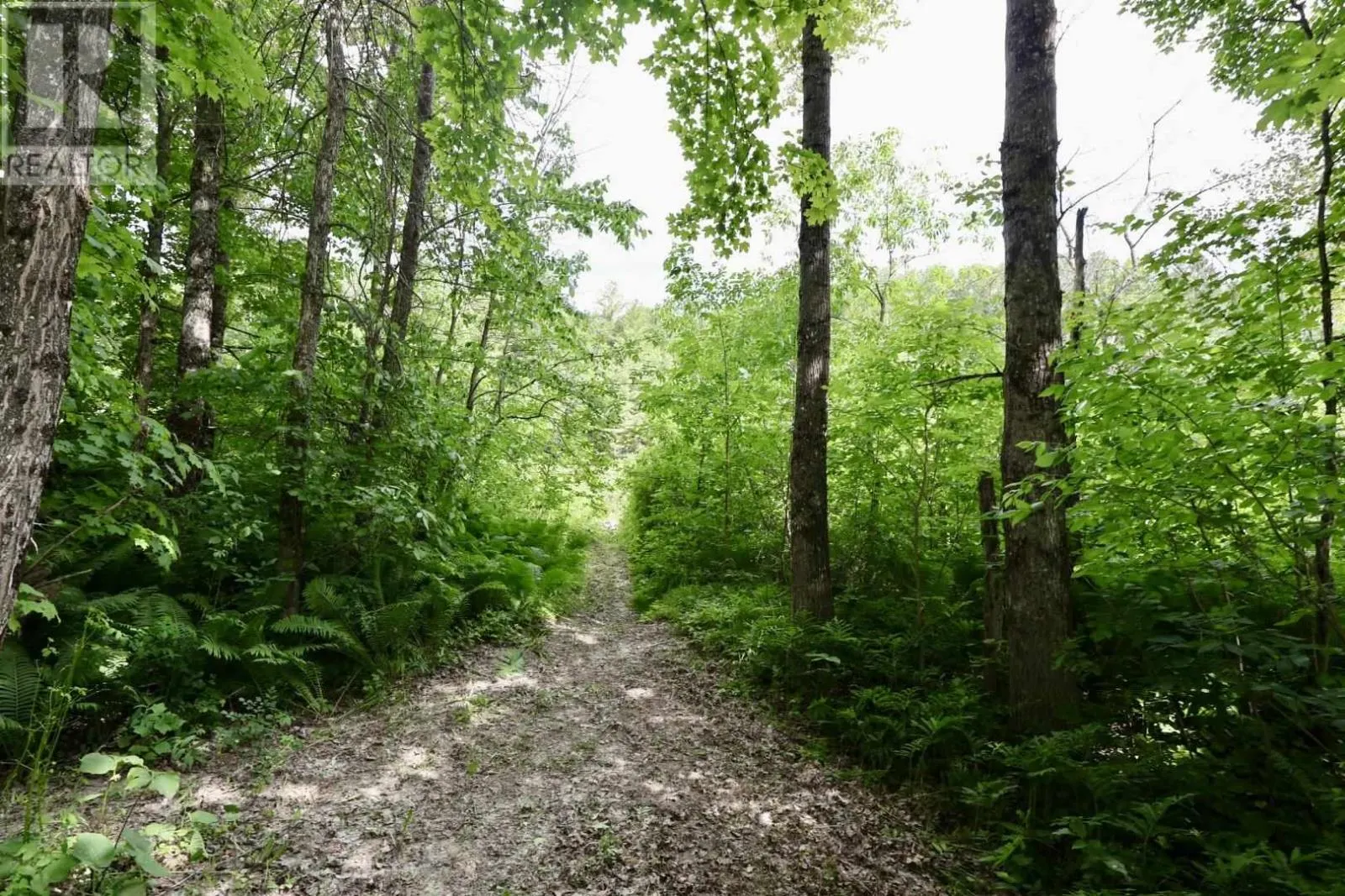 190 Byes Side RD