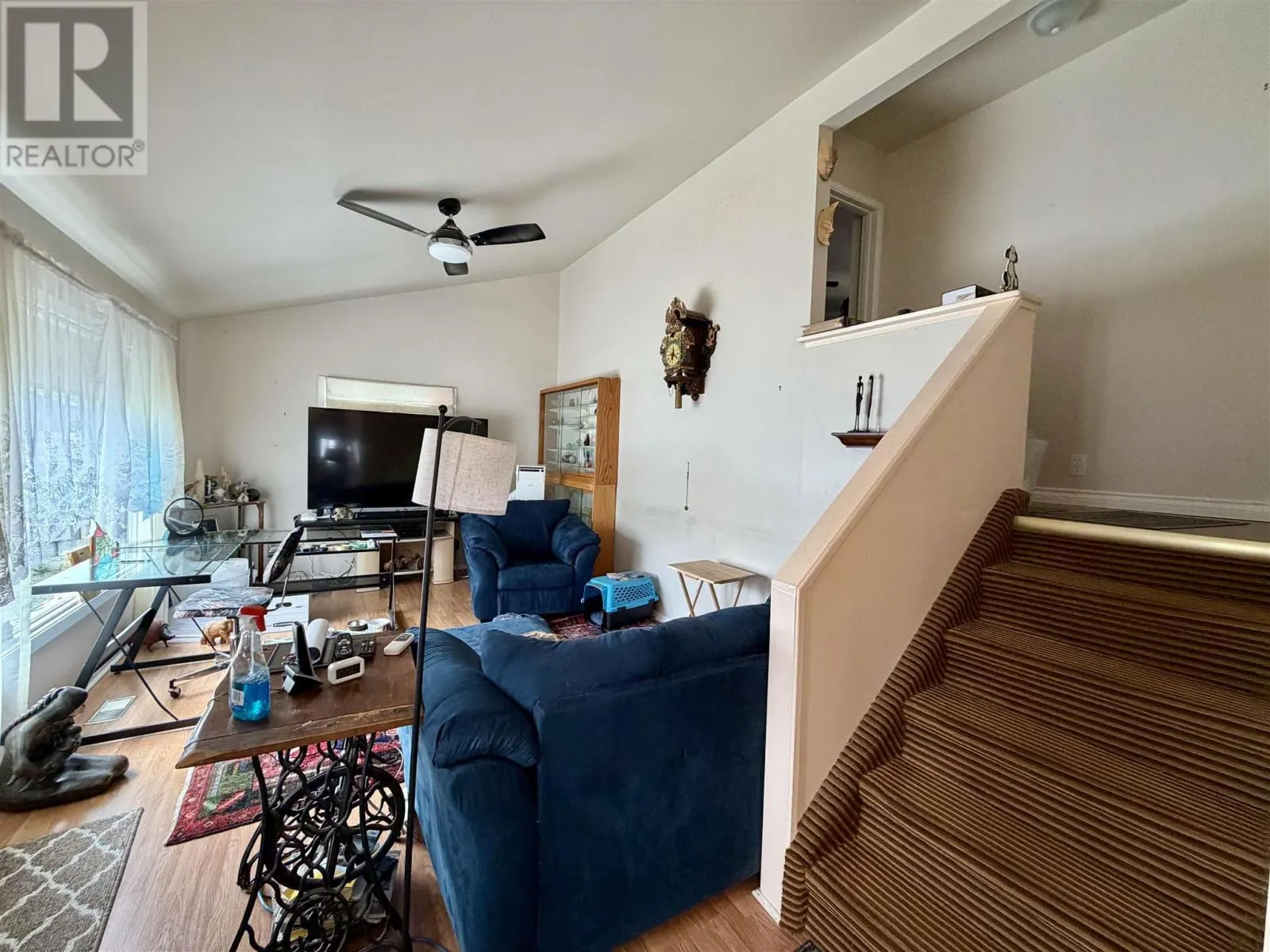 50 Hutchison AVE