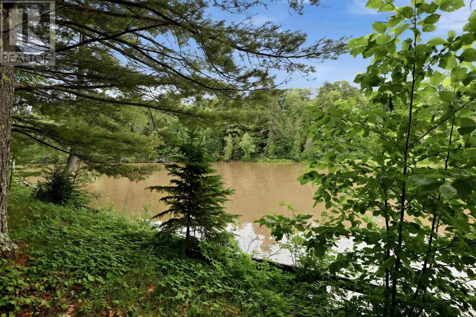 264 Whispering Pines DR