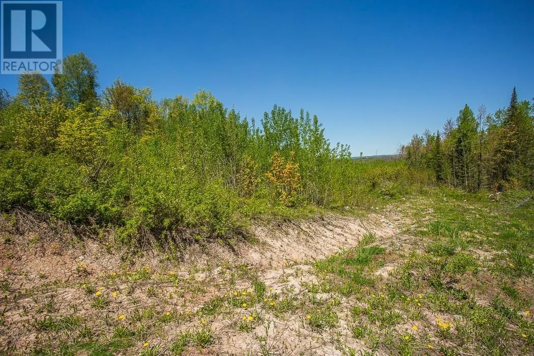76 Calabogie RD|Laird Township