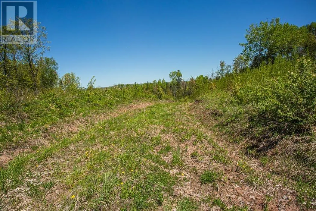 76 Calabogie RD|Laird Township