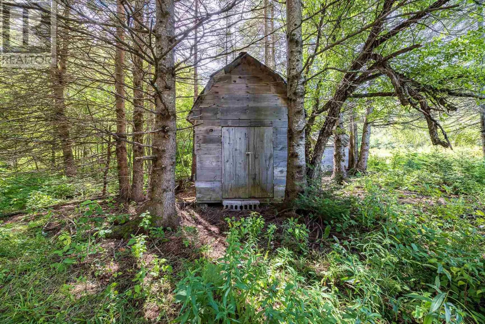 58 Karalash RD