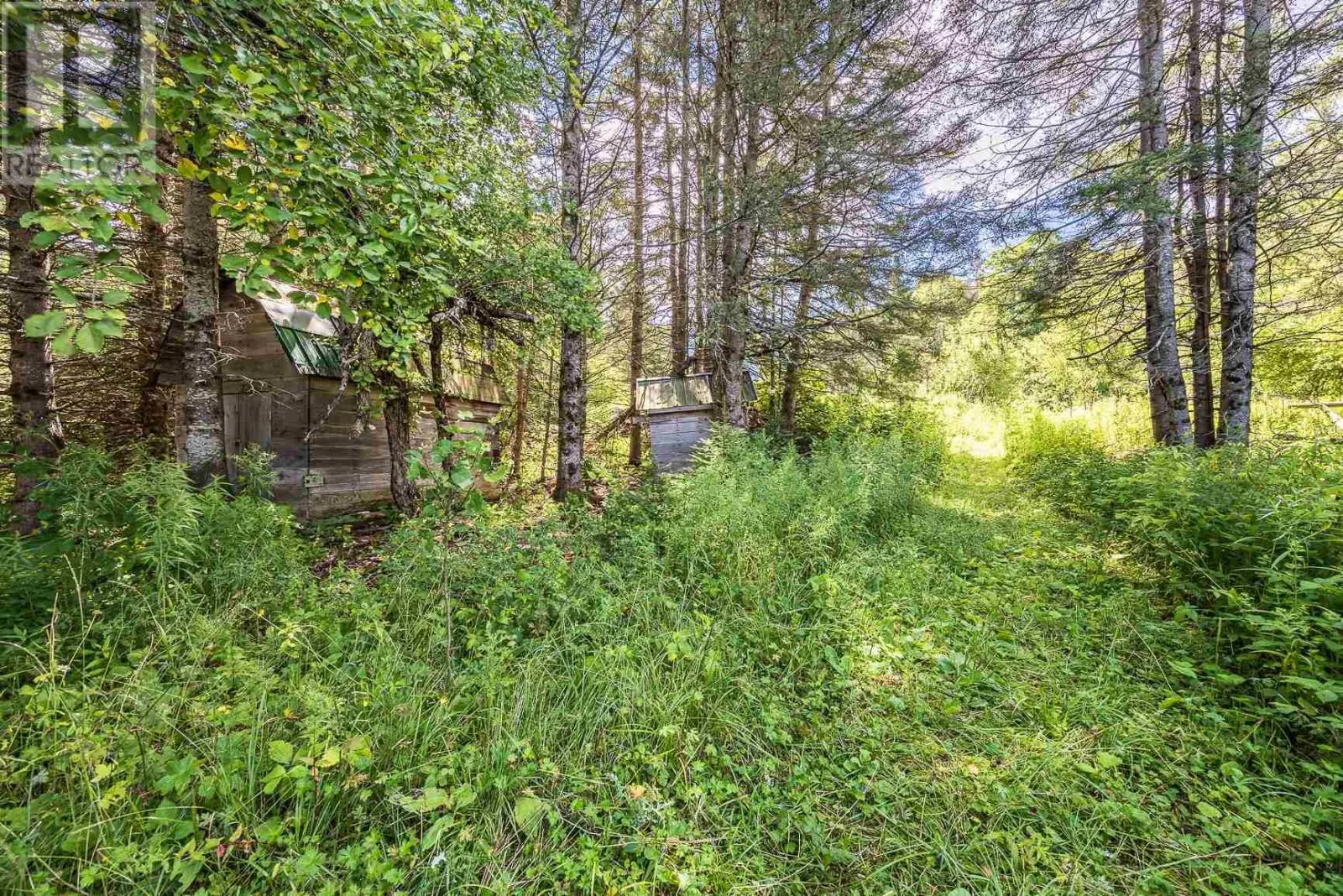 58 Karalash RD