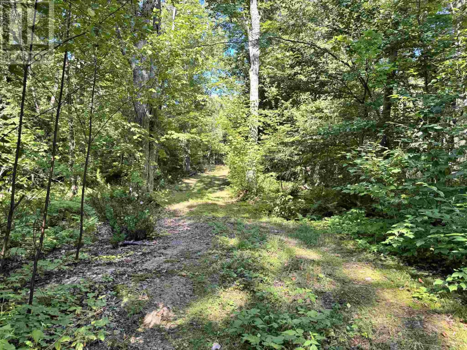362 Corbett DR