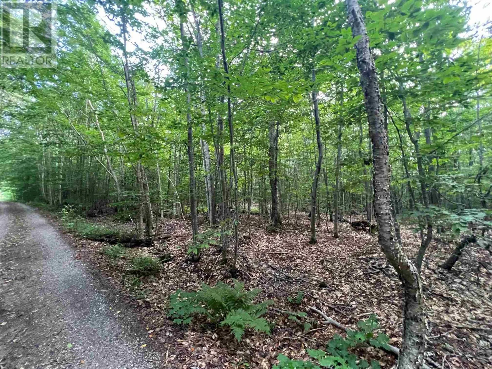 Lot 15 Gordon RD