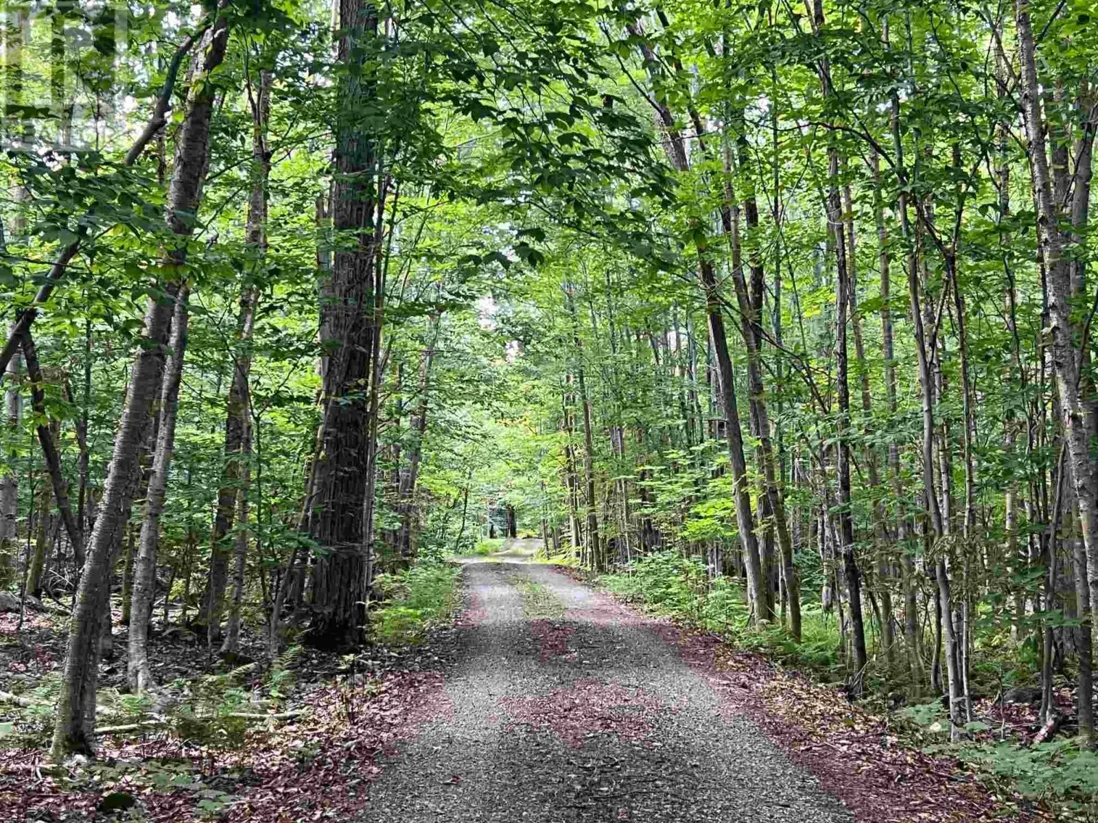 Lot 15 Gordon RD