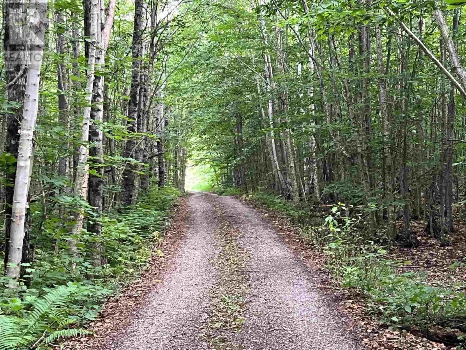Lot 15 Gordon RD