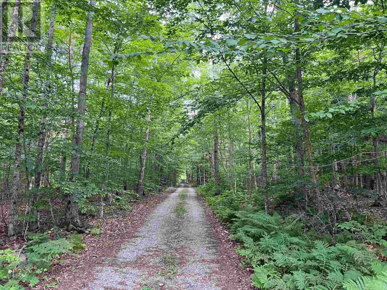 Lot 15 Gordon RD
