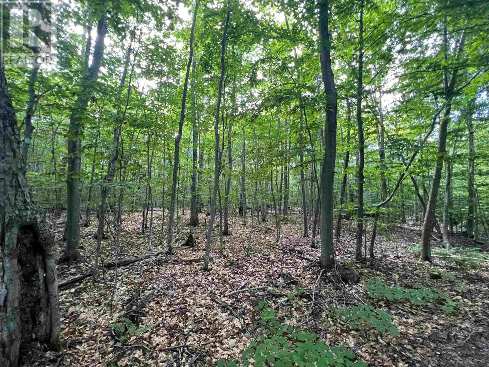 Lot 15 Gordon RD
