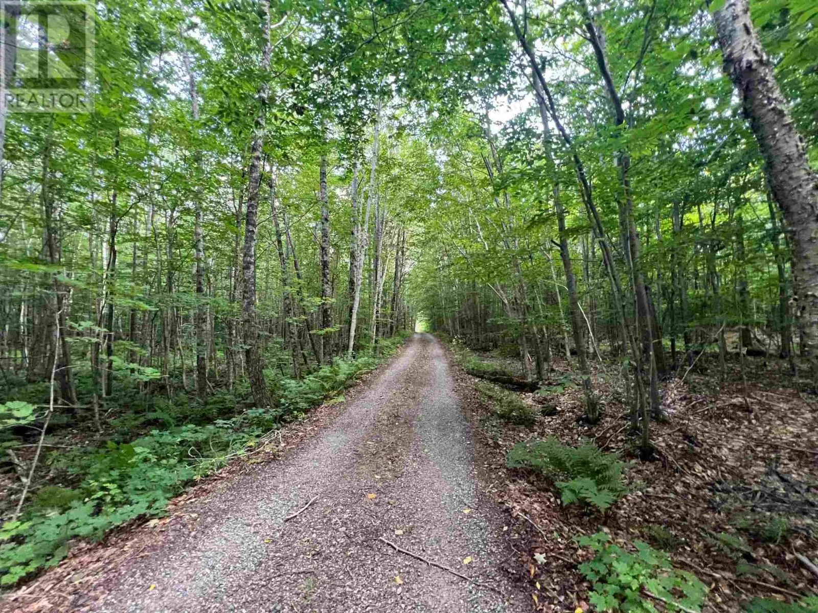 Lot 15 Gordon RD