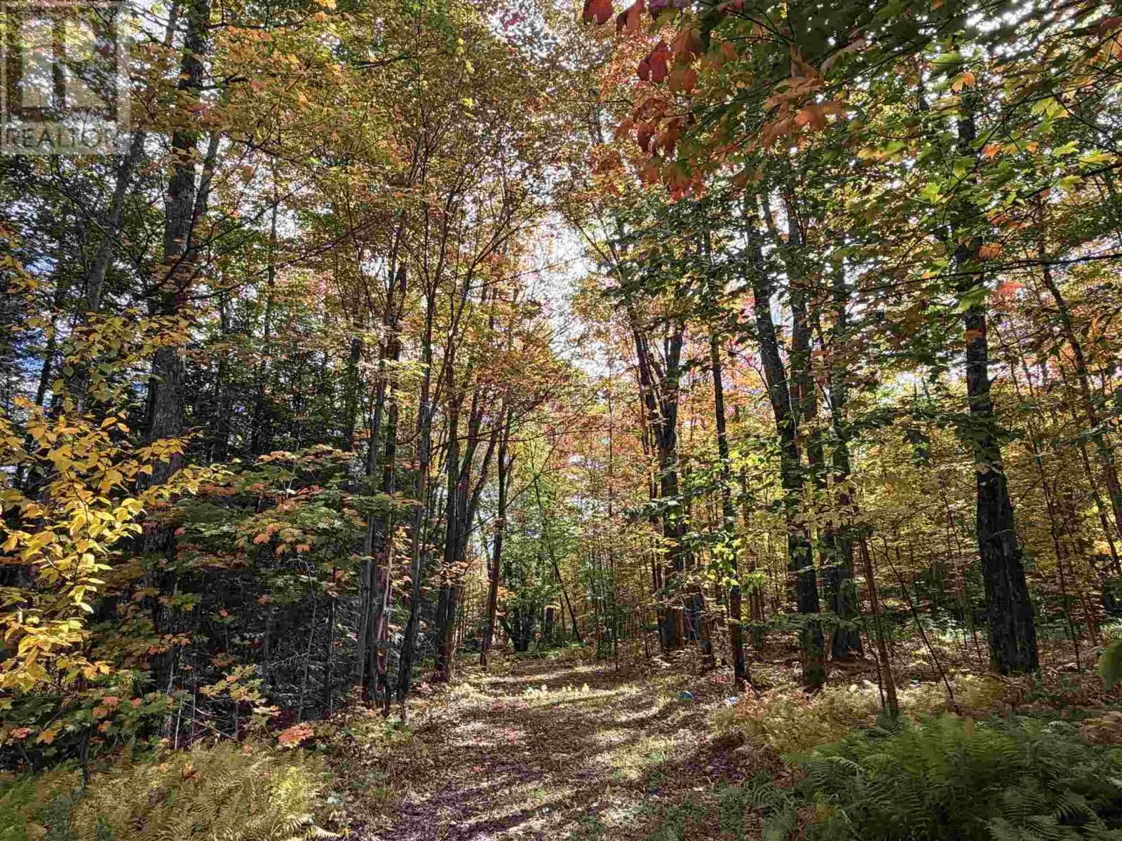 144 Landslide RD
