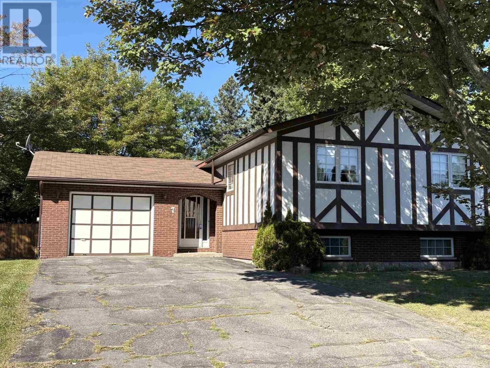 7 Panoramic DR