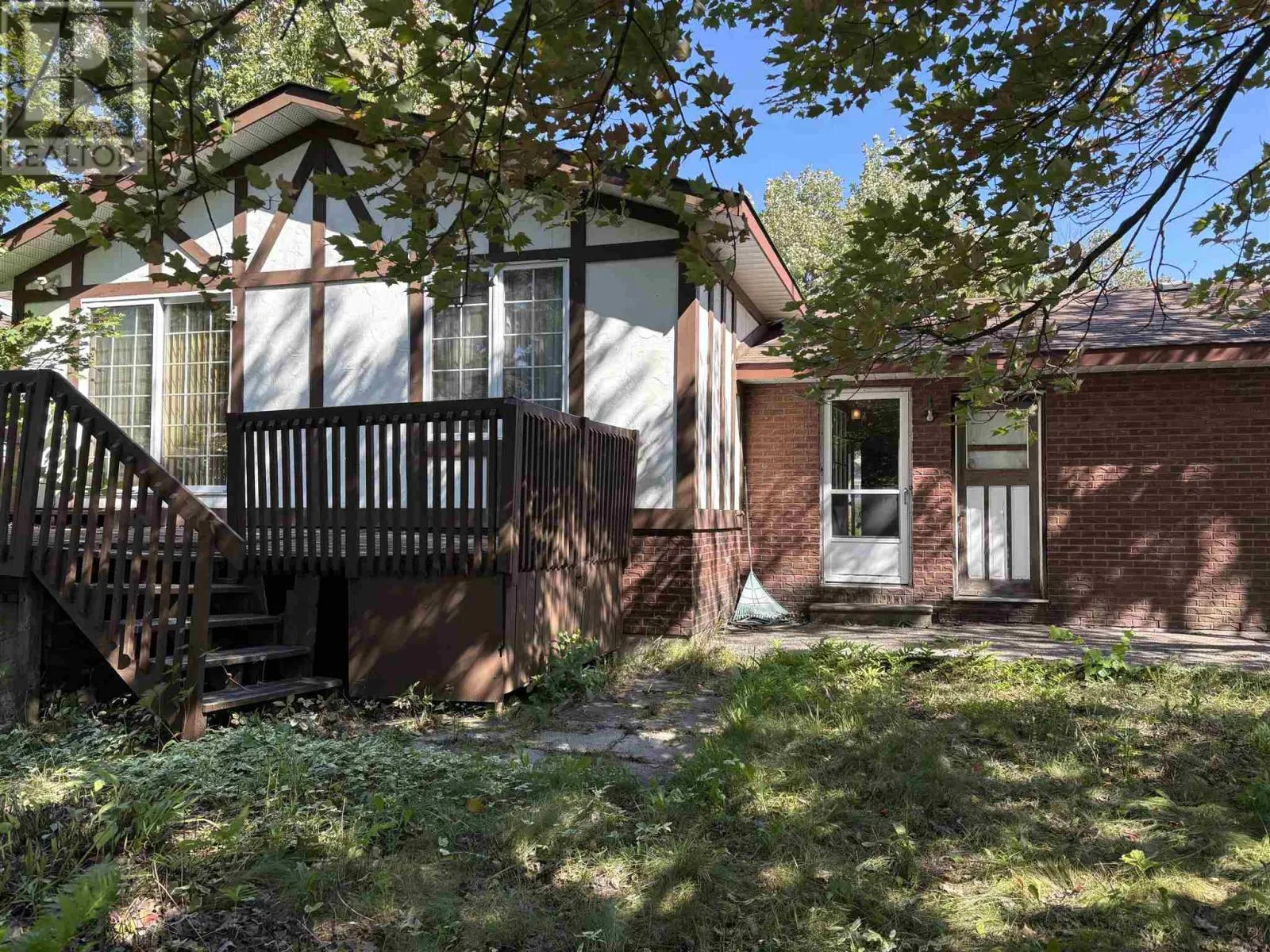 7 Panoramic DR