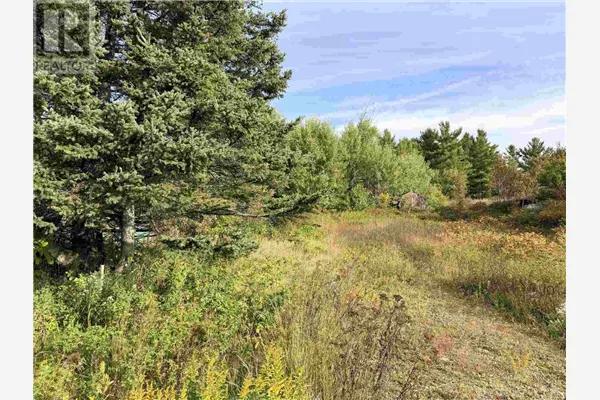 11934 Highway 17