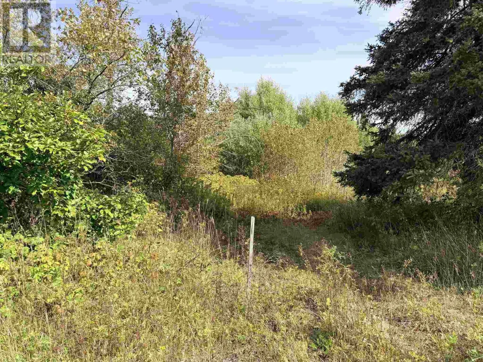 11934 Highway 17