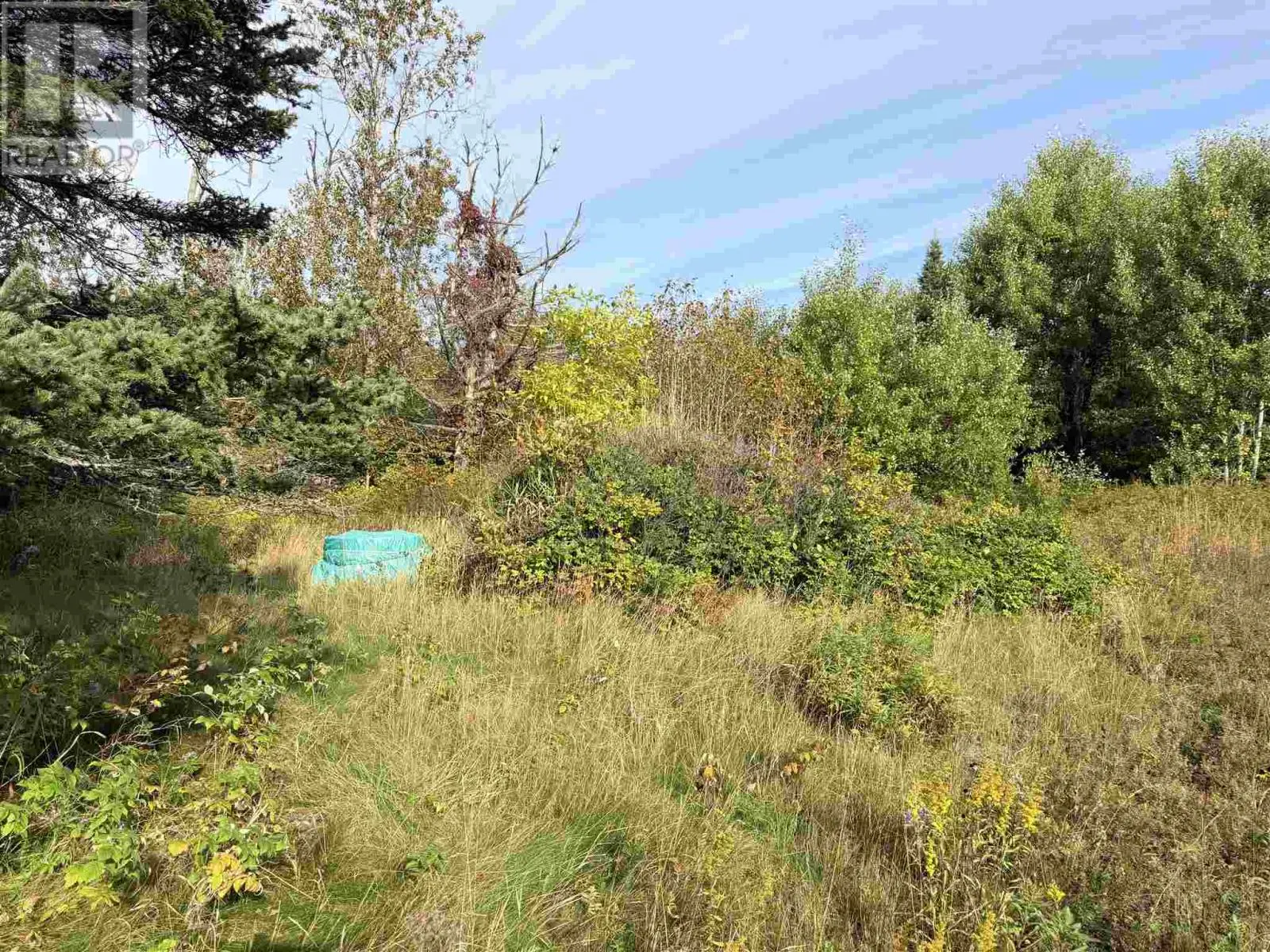 11934 Highway 17
