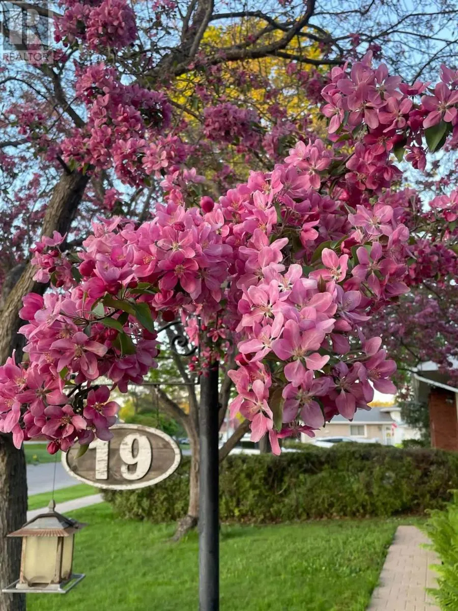 19 Illinois AVE