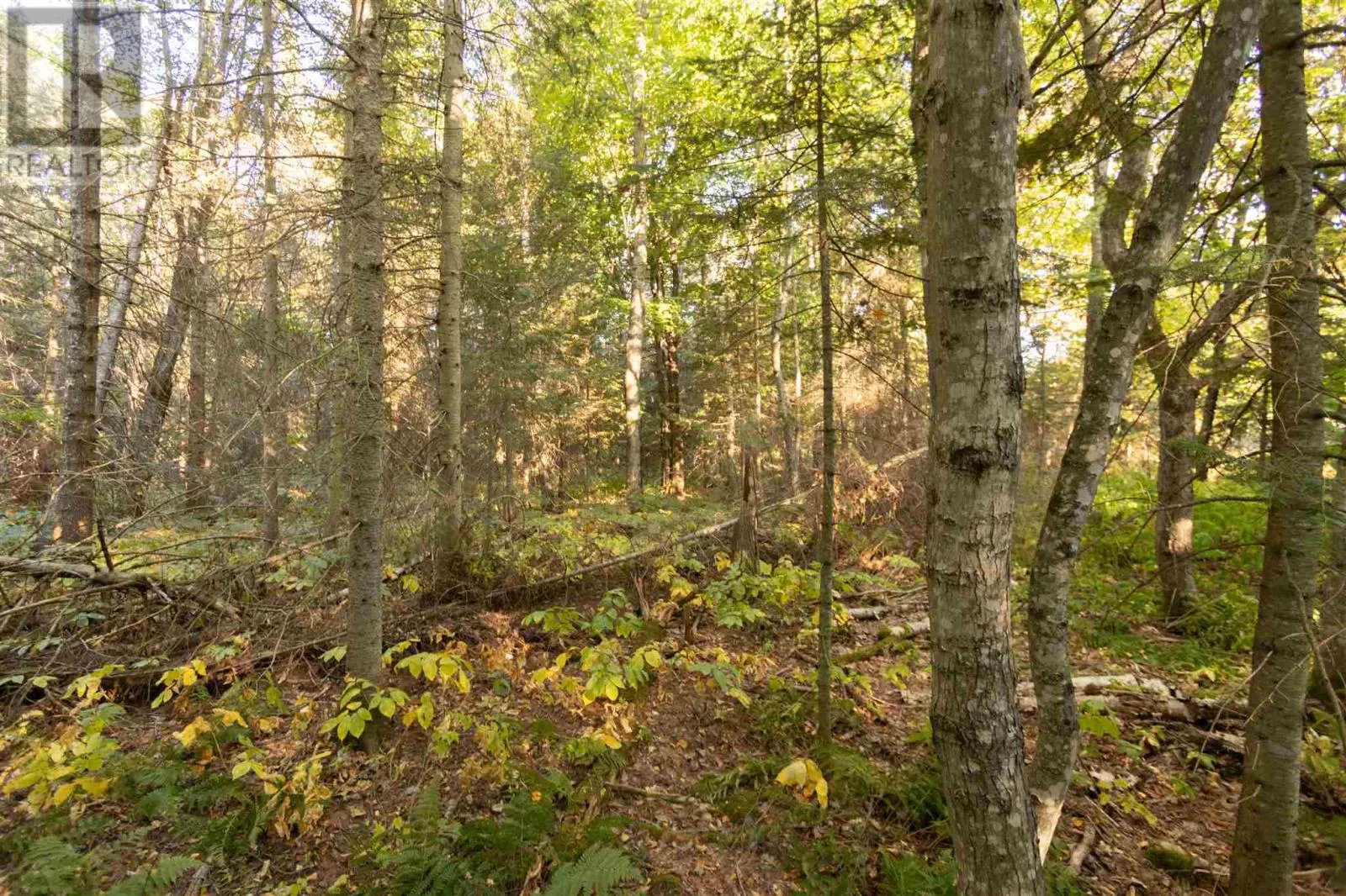 Lot 14&15 Nokomis Beach RD