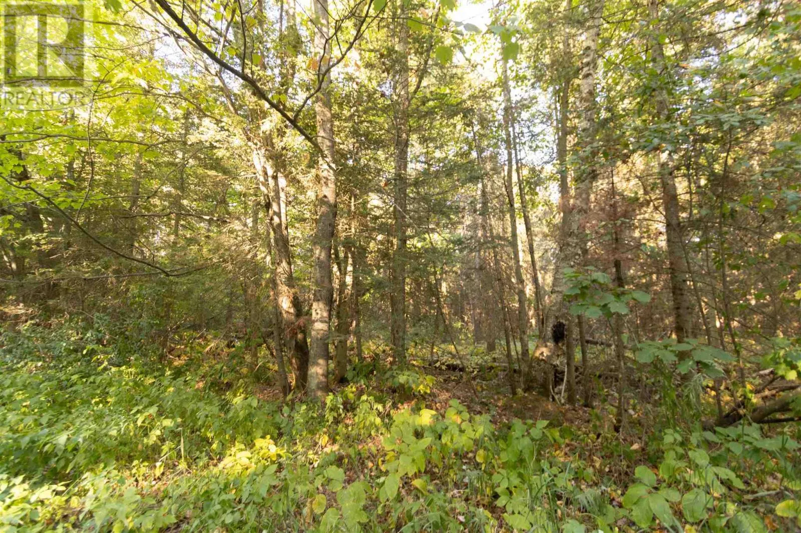 Lot 14&15 Nokomis Beach RD