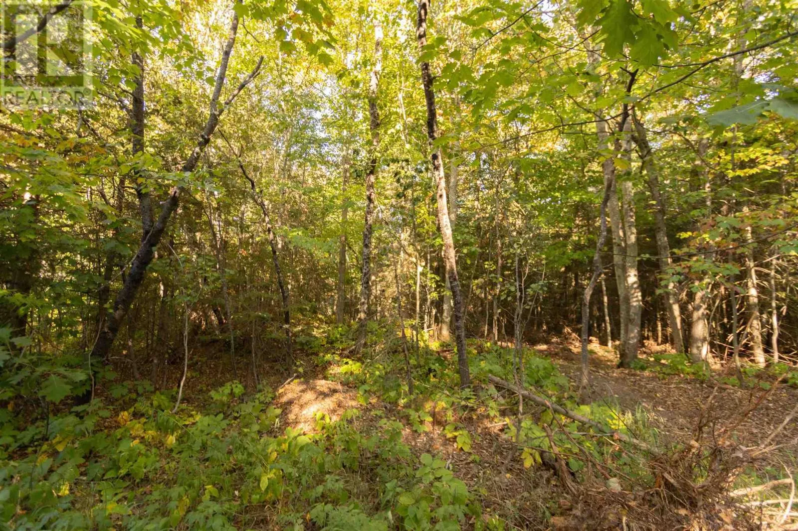 Lot 16 Nokomis Beach RD