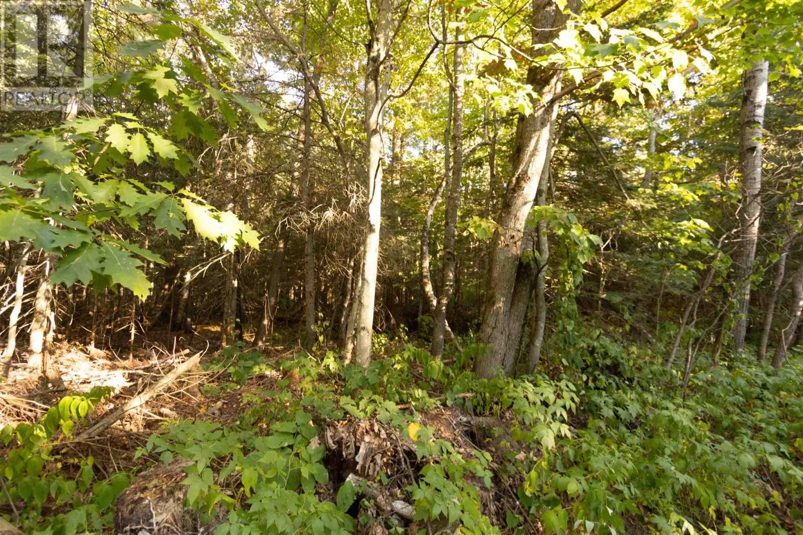 Lot 16 Nokomis Beach RD