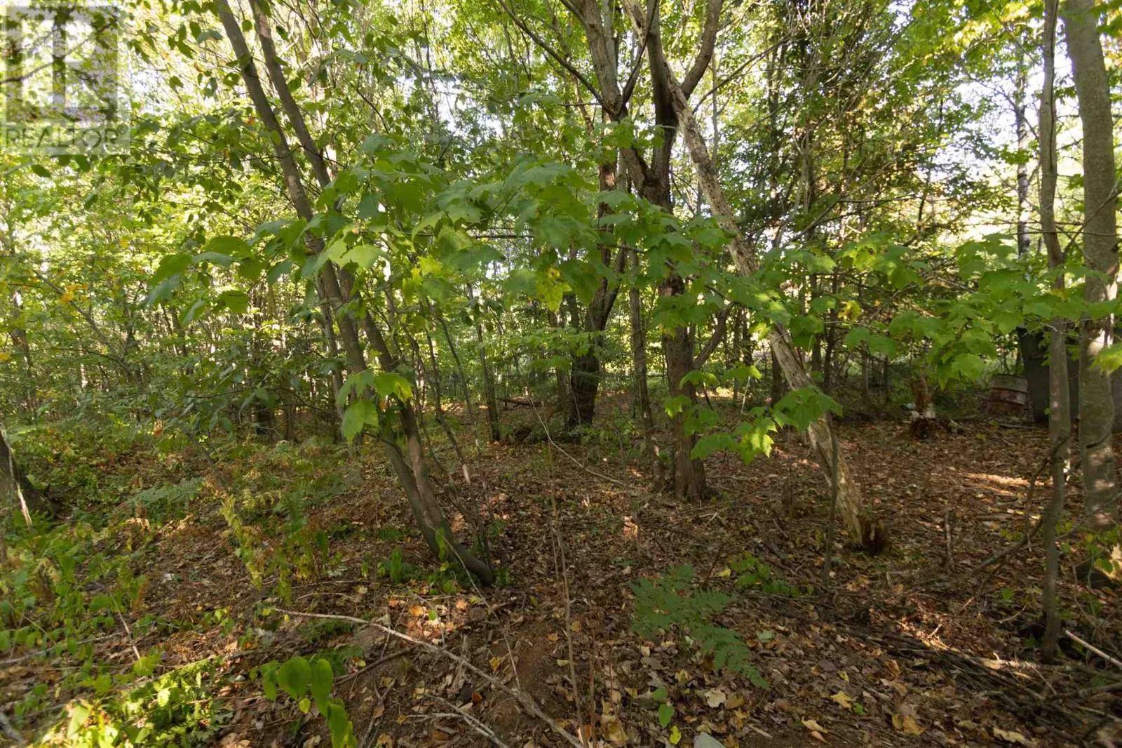 Lot 19 Nokomis Beach RD