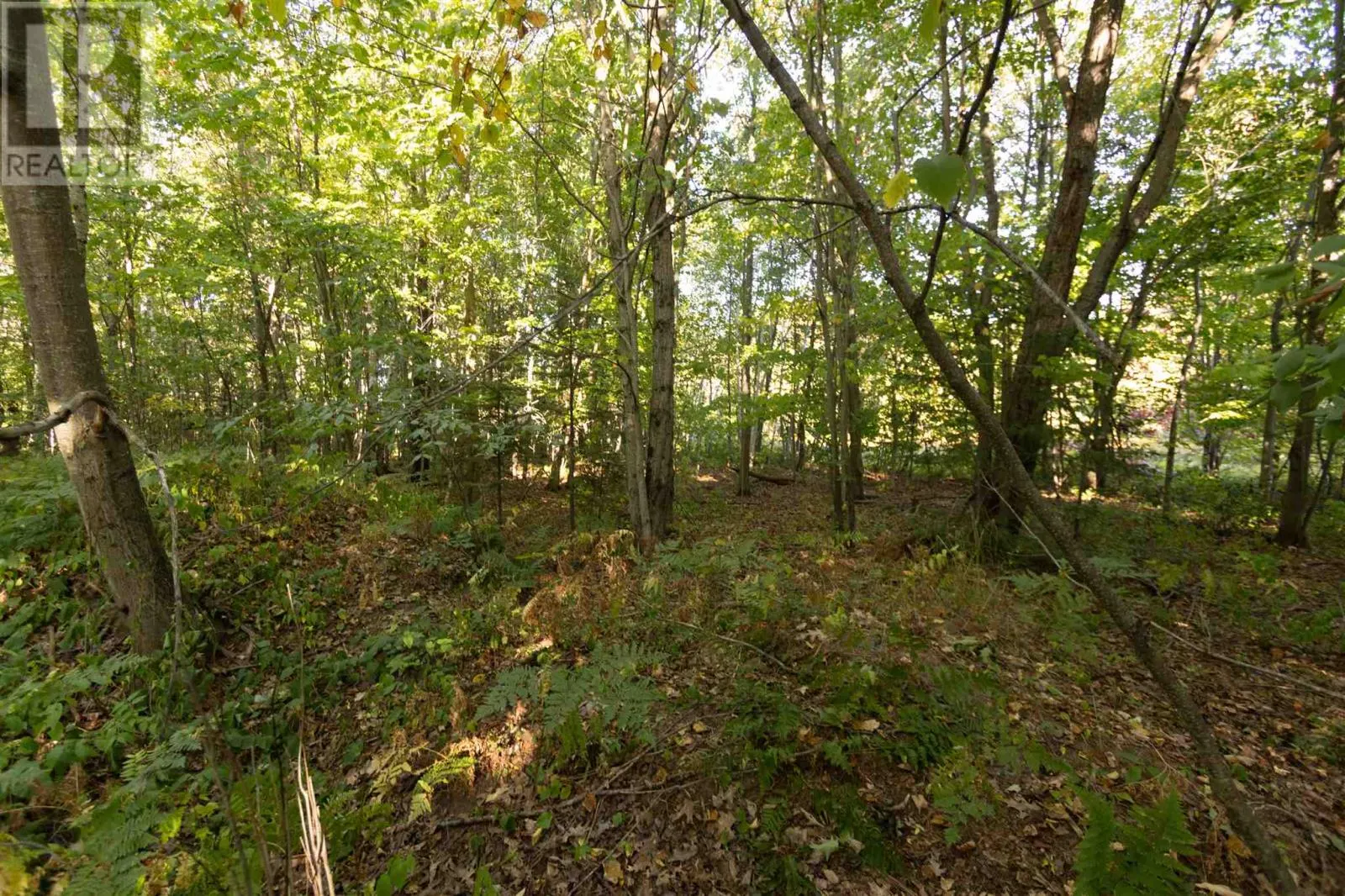 Lot 19 Nokomis Beach RD