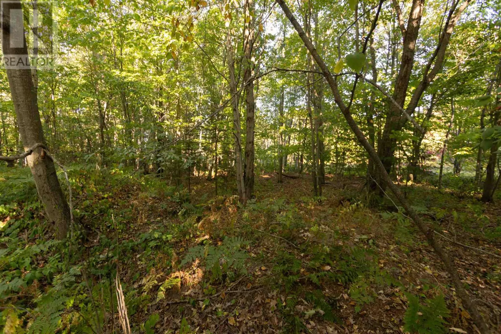 Lot 19 Nokomis Beach RD
