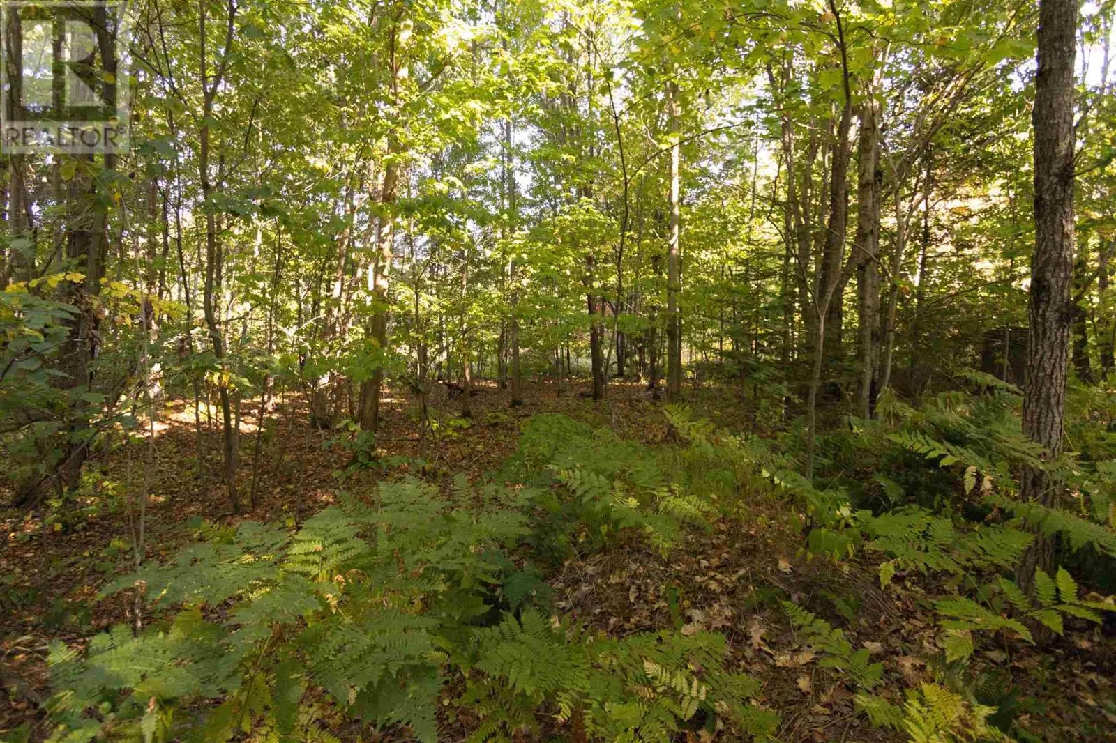 Lot 19 Nokomis Beach RD