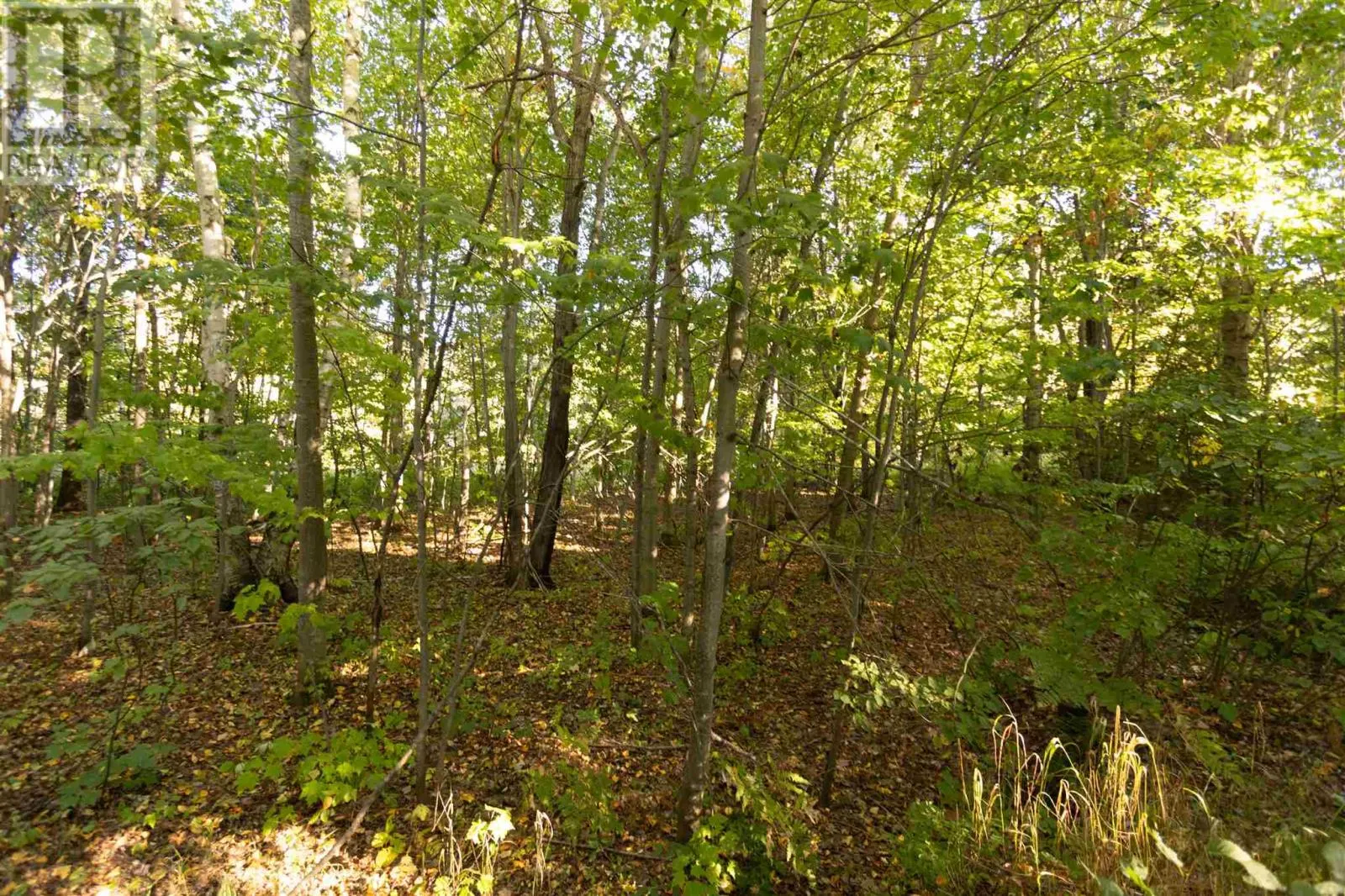 Lot 19 Nokomis Beach RD