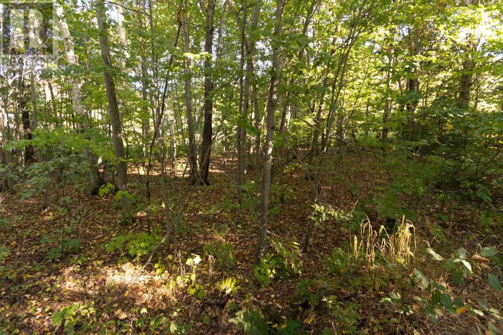 Lot 19 Nokomis Beach RD
