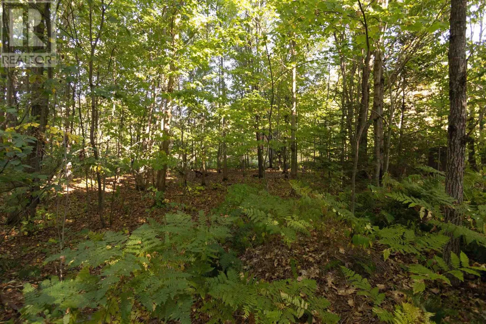 Lot 19 Nokomis Beach RD