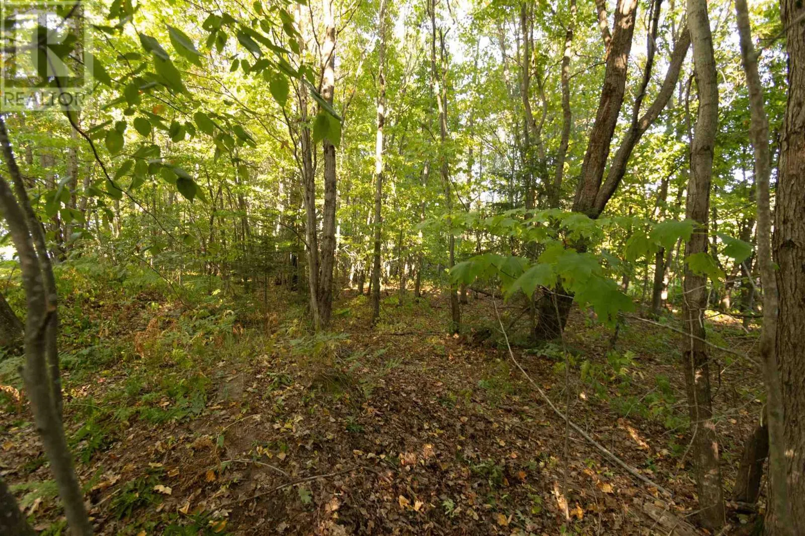Lot 19 Nokomis Beach RD