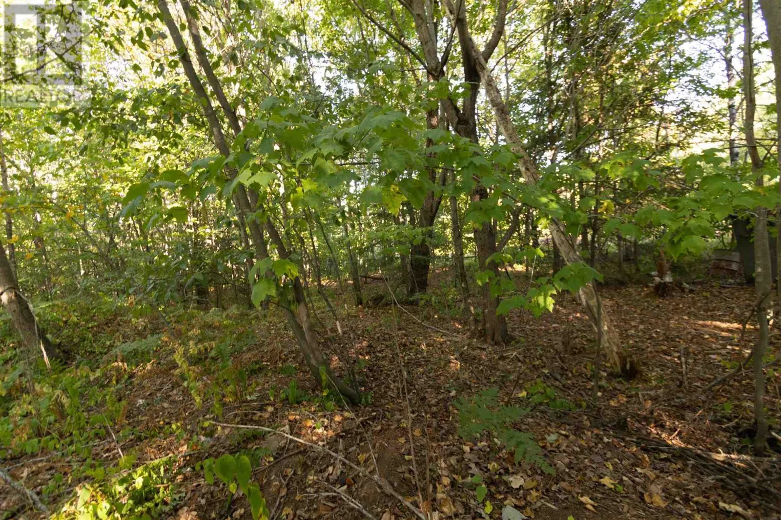 Lot 19 Nokomis Beach RD