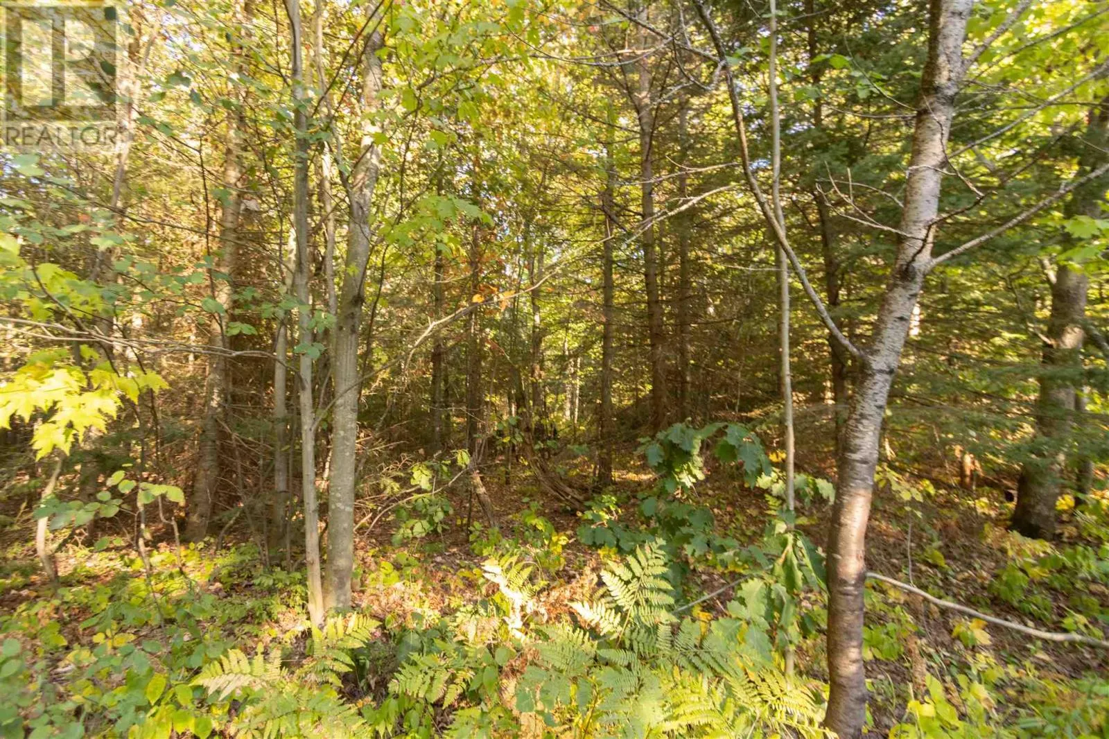Lot 17 Nokomis Beach RD