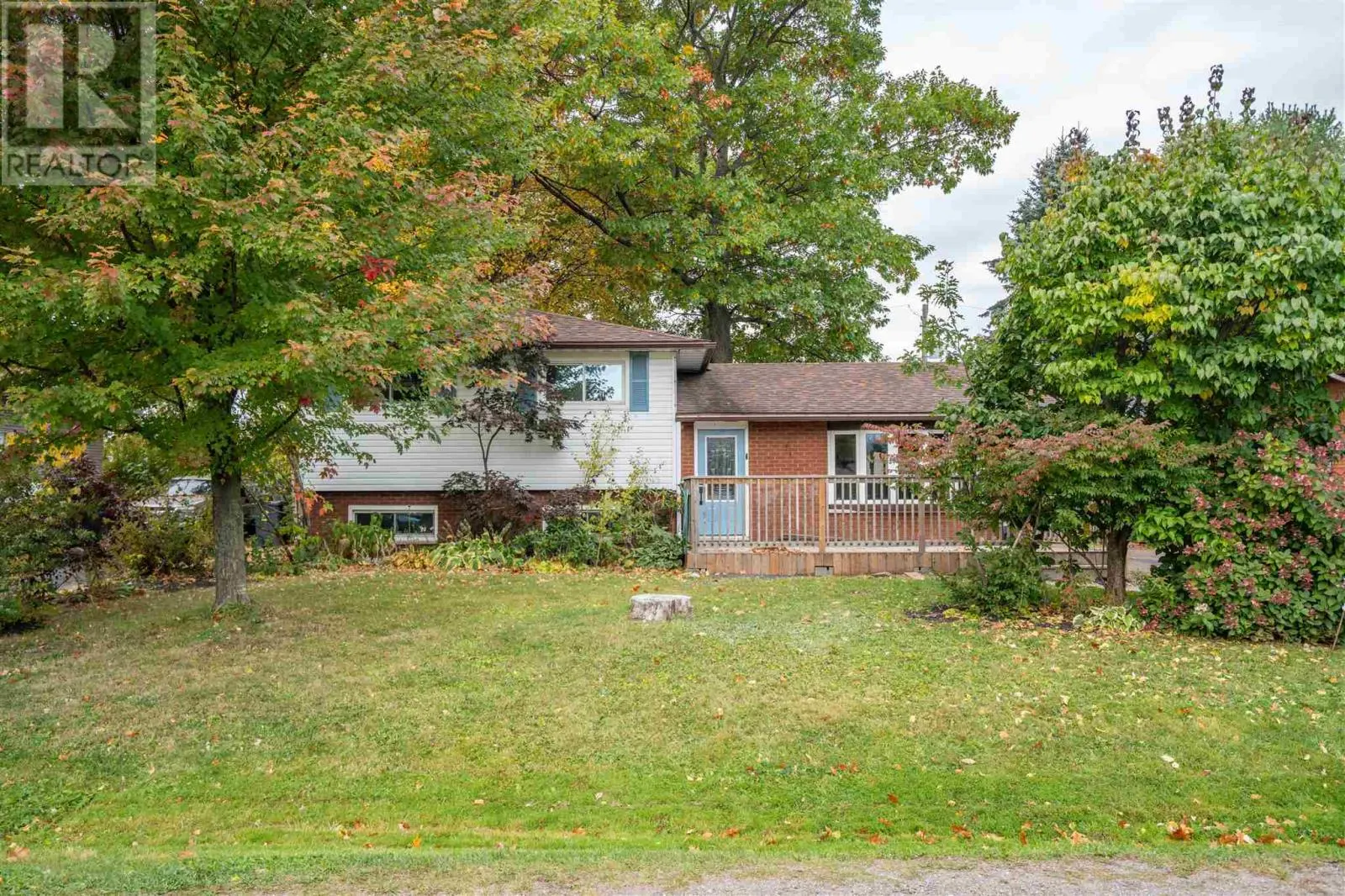 41 Peach DR