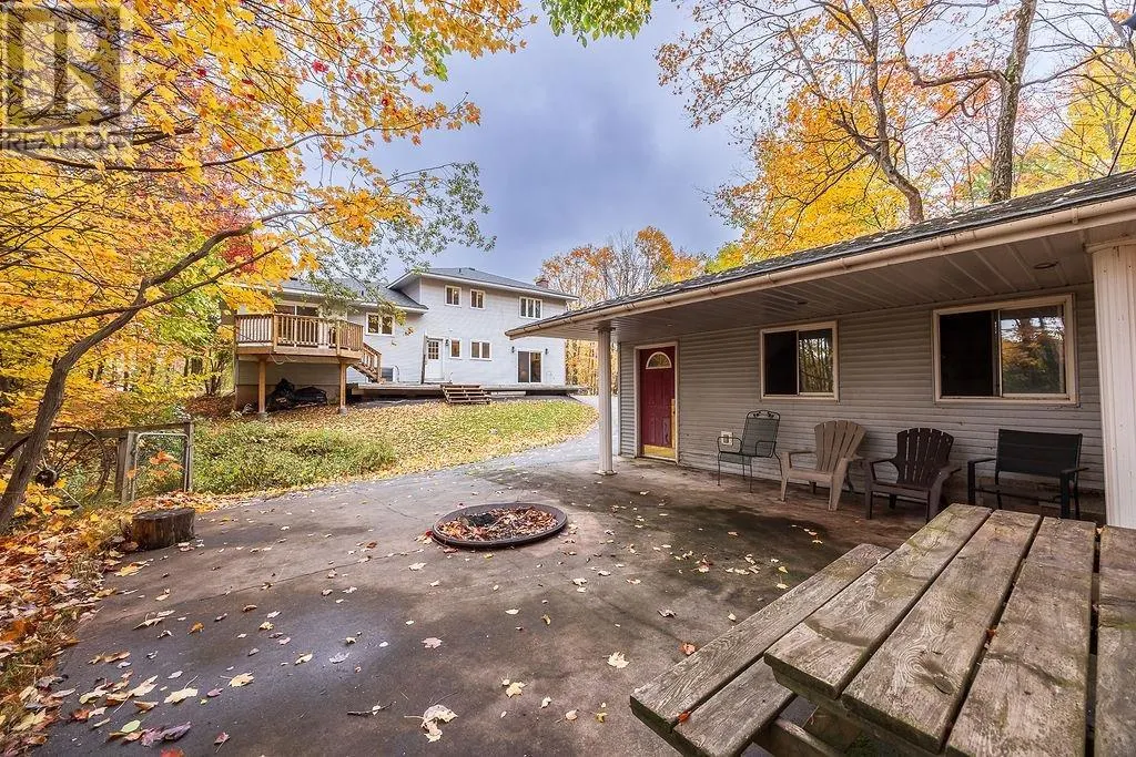 123 Palomino DR
