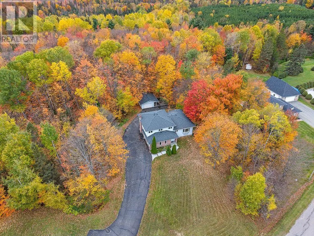 123 Palomino DR
