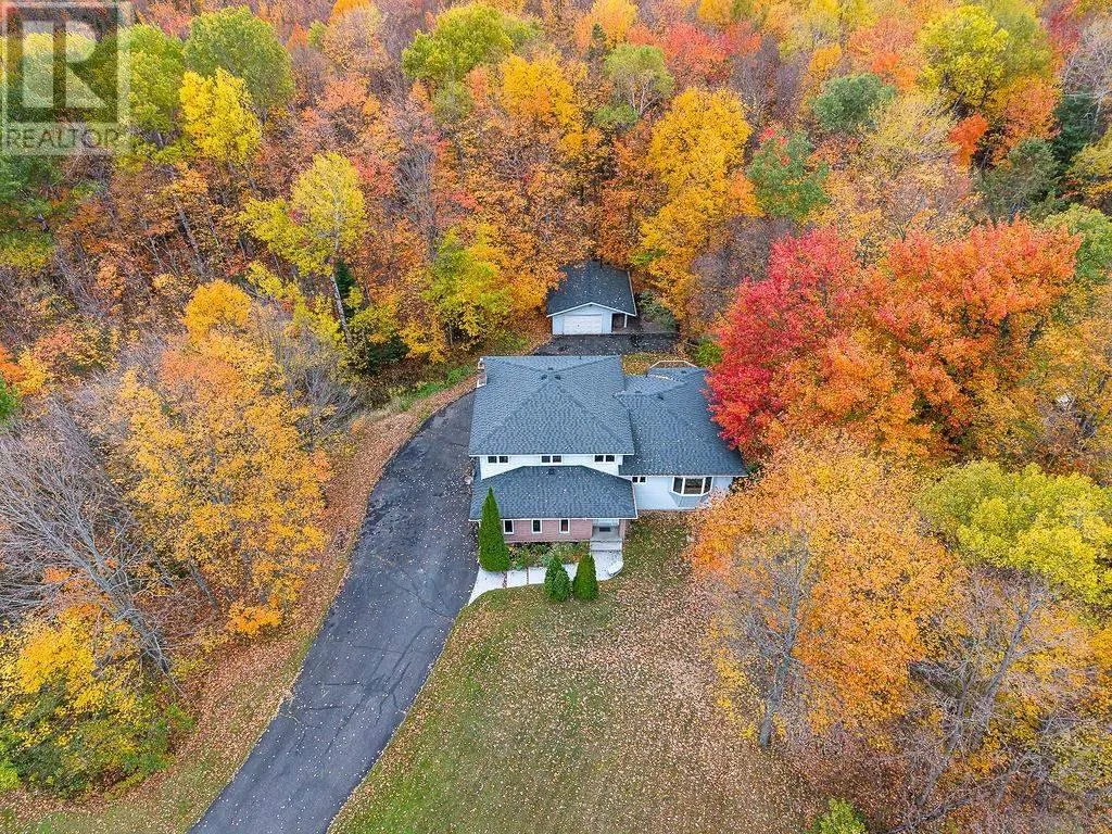 123 Palomino DR