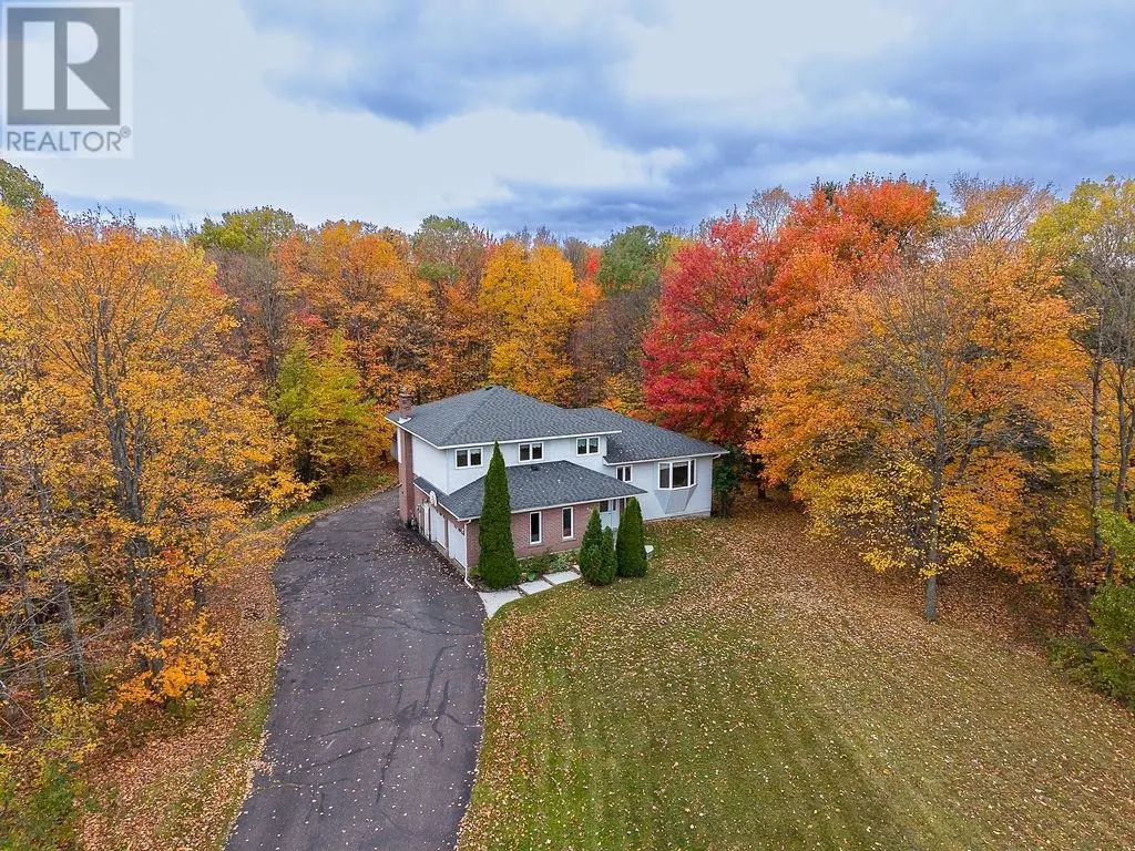 123 Palomino DR