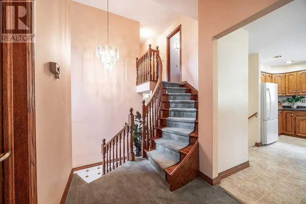 123 Palomino DR