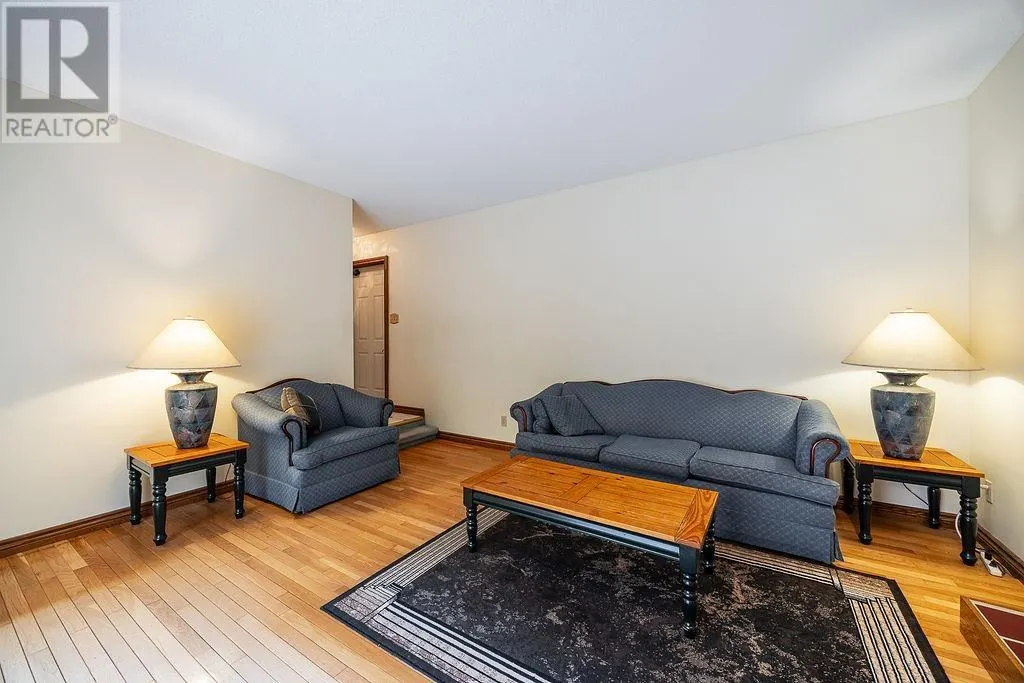 123 Palomino DR