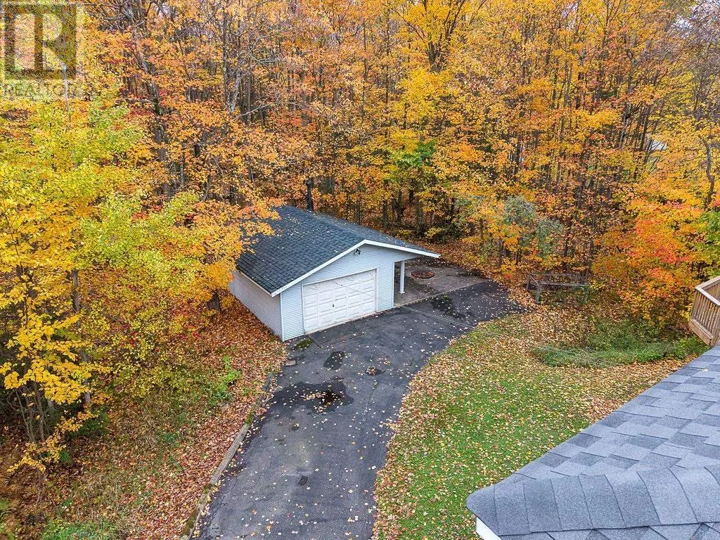 123 Palomino DR