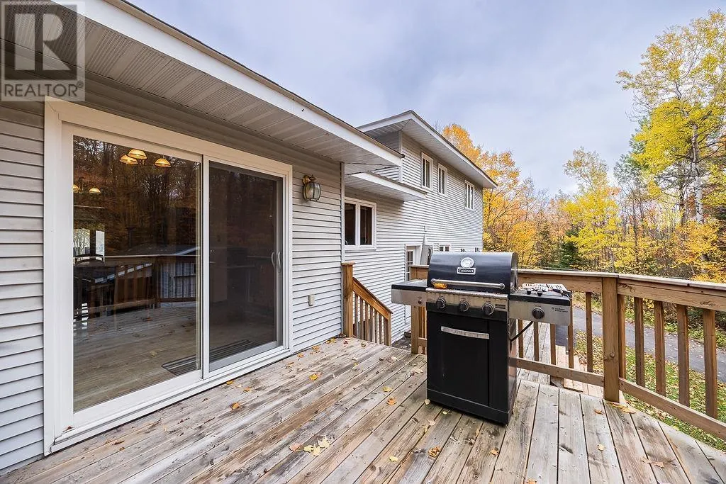 123 Palomino DR