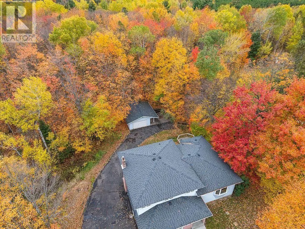 123 Palomino DR