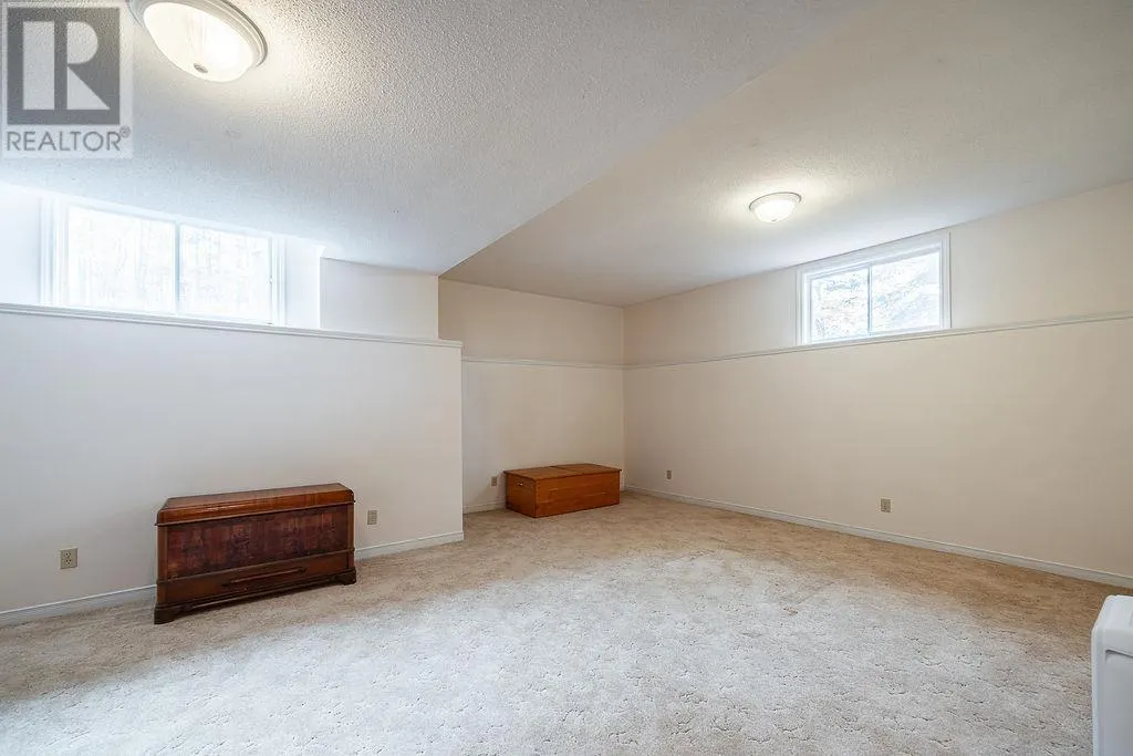 123 Palomino DR